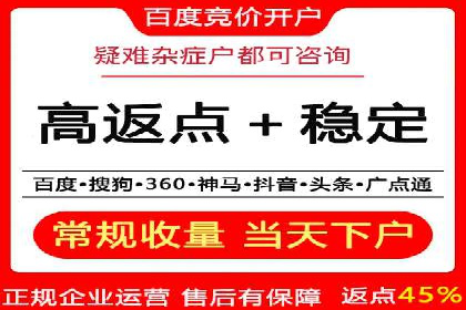行业新秀的关键词竞价排名之路：快速崛起的案例
